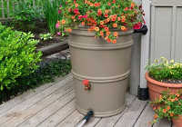 rainbarrel