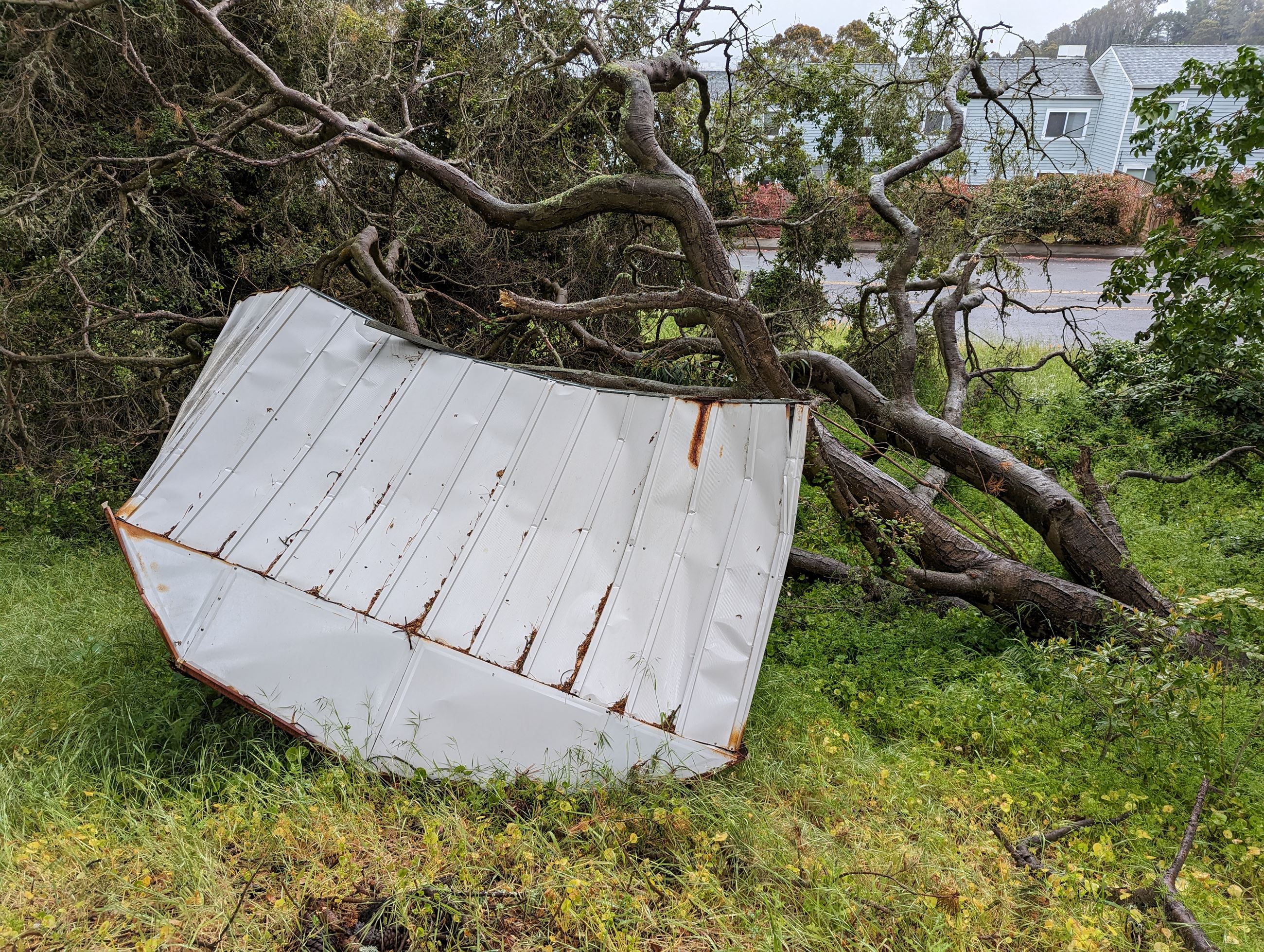 Image of shed blow into tree on hillside